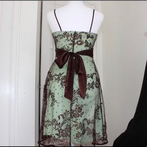 Vintage Sage green lace dress